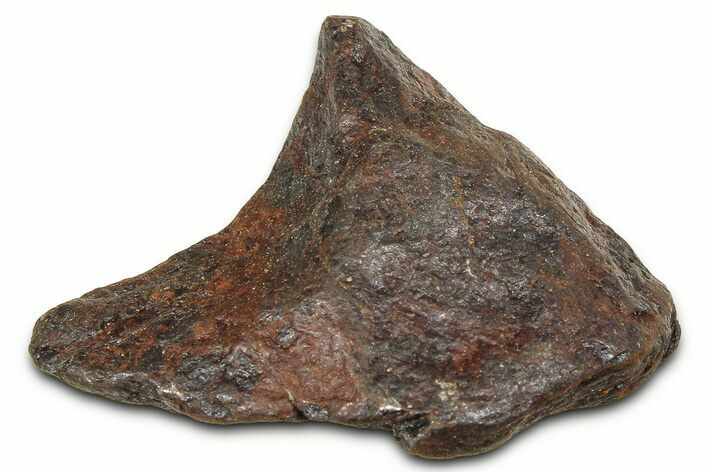 Canyon Diablo Iron Meteorite ( g) - Arizona #381978